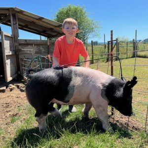 Deklan with his hog, Lainey in the pen.