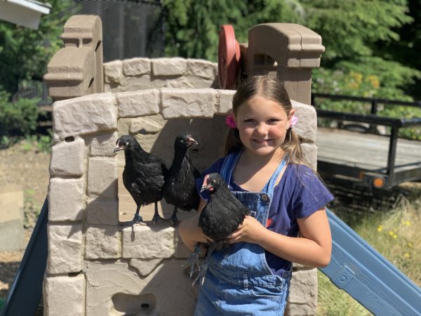 Smiling Georgia is standing in front of a faux brick play structure. Two black hens are on the wall. She is holding a third chicken in her hands.