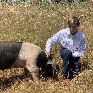 Nathan in a field. Next to him is his project hog.