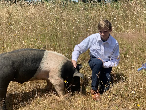 Nathan in a field. Next to him is his project hog.