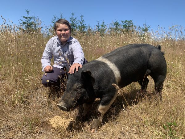 Jacob in a field. In front of him is his 4H project hog.