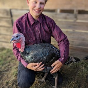 Lucas is crouching down in a livestock pen with his arms around a turkey.