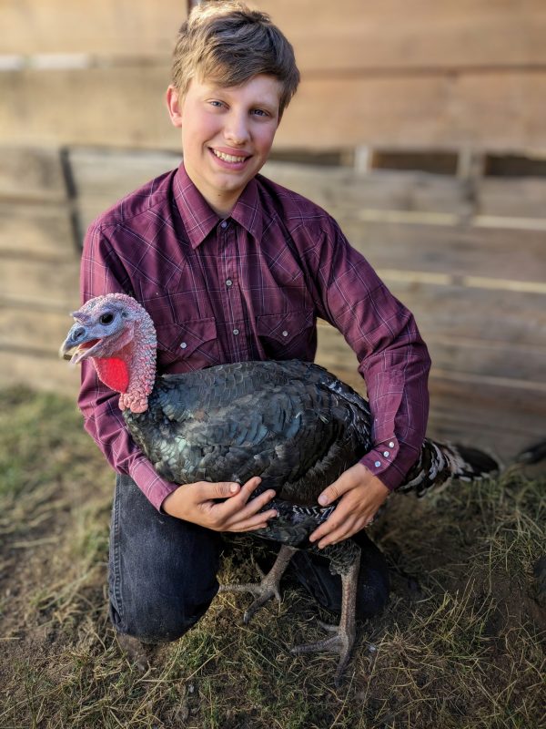 Lucas is crouching down in a livestock pen with his arms around a turkey.