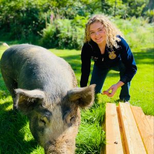 Smiling Addie is wearing her FFA shirt and crouched next to hog, Roper.