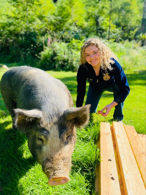 Smiling Addie is wearing her FFA shirt and crouched next to hog, Roper.